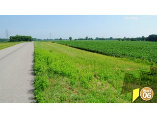 Property photo 38 - 470 Acres Mostly Productive Tillable Land - 6 Tracts